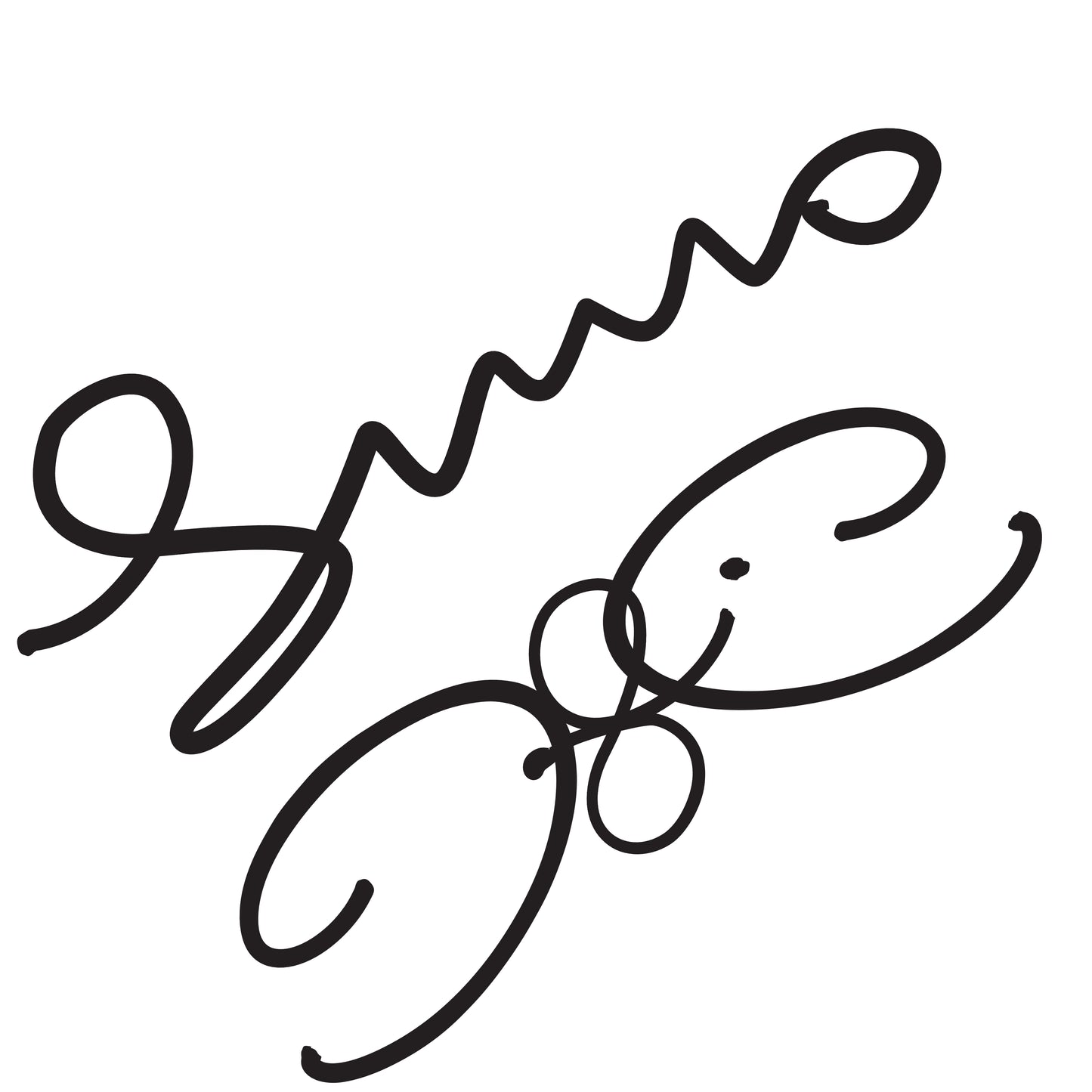 autographed